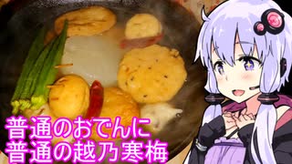 【普通のおでんに普通の越乃寒梅】ゆかりのふらっと隠れ家 第２期 ♭432【第十回ひじき祭】