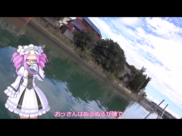 四国めたんが語る釣り動画　その８【VOICEROIDフィッシング】