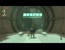 【ゼル伝TotK】おててと旅するリンクさん　パート３７【もちまる】