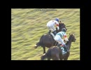 2008 東京スポーツ杯２歳Ｓ(JpnIII)　ナカヤマフェスタ