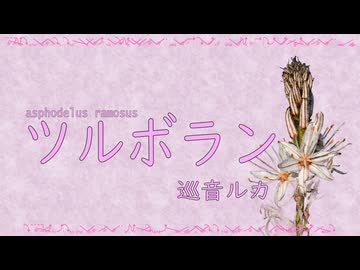 ツルボラン - 巡音ルカ