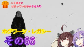 昔ハリポタにはまっていたゆかりさんのホグワーツレガシー実況!!!その66