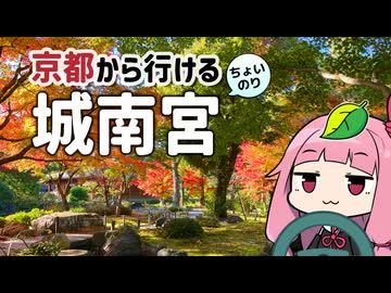 京都から行けるちょい乗りドライブスポット #07「城南宮」～梅と紅葉～