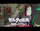 【ゼルダの伝説 知恵のかりもの】姫巫女と勇者の願い。その想いはすべての闇を討ち払う。大いなる力、そしてたったひとり…かけがえのない相棒と共に #19