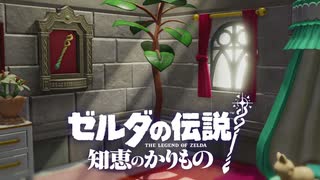 【ゼルダの伝説 知恵のかりもの】姫巫女と勇者の願い。その想いはすべての闇を討ち払う。大いなる力、そしてたったひとり…かけがえのない相棒と共に #19