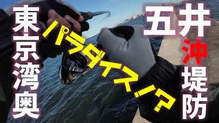 パラダイスを夢見て海を渡る男達を実況する結月ゆかり
