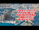 【ブリヂストン 中国撤退】安物買いの銭失い！？日本企業の相次ぐ撤退で窮地に立たされた中国経済 #猫マニ #猫ミーム
