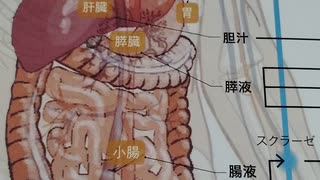 発覚してからでは手遅れ【日本人を絶滅させる人達】1000002646
