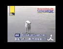林喜市猫前線