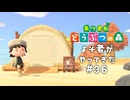 誰かさんが来た、突撃だ【あつまれ どうぶつの森】#36