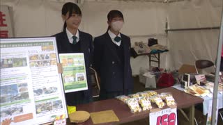 246本のハゼ並木が紅葉　柳坂ハゼ祭り
