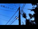初投稿：従属ふりったー歌ってみた【Matsuri】