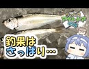 久しぶりの魚釣り！でも釣果はさっぱり・・・【まったりアウトドアVlogその02・魚釣り編】