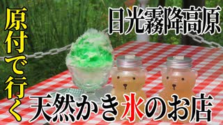 【ななまる日記】天然かき氷を食べに行くだけのツーリング