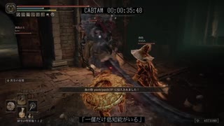 【エルデンリング】ボツカボチャタマネギ Part.11 お蔵入り集