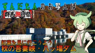 【群馬旅行祭2024】ずんだもんのお写んぽ #8【吾妻峡・八ッ場ダム】
