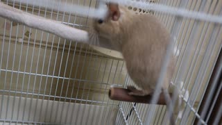 おじゃましま～す！