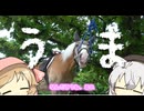 ひなたのにゃんことわんことうま