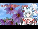2024年11月17日　農作業日誌P1182　あまりこれといった農作業は出来なかったから、耕す事にする