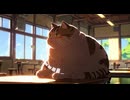 Lo-Fi BGM｜starry night｜星夜の調べ