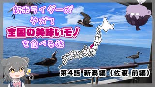 【第4話】新米ライダーがやがて全国の美味いモノを食べる旅　新潟編（佐渡・前編）【Voicepeak車載】