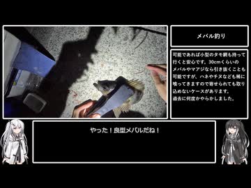 アリミリ姉妹の淡路島海釣り日記Part.17