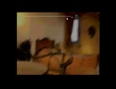 初見うみねこのなく頃に Part193