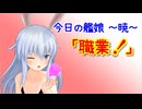 【MMD艦これ】今日の艦娘～暁～『職業！』【MMD紙芝居】