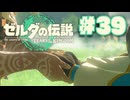 【ぽつぽつ実況 #39】落下速度【ティアーズオブザキングダム】