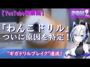 『わんこドリル』ついに原因を特定！