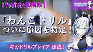 『わんこドリル』ついに原因を特定！