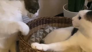 超大人気スポット368秒