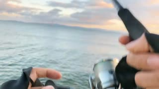 夕マズメで青物かけて・・・