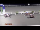 2024年11月17日高知競馬10R ポインセチア特別(C3-1組) キャッスルトップ