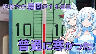 2024年11月18日　農作業日誌P1183　気温が一気に下がっていくのでどんどん寒くなる
