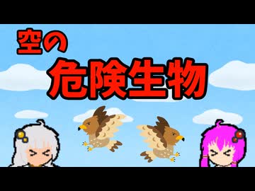 【VOICEROID解説】ゆかり先輩と見る危険生物【空編③】