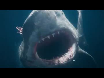 ホモと見るメガロドンが絶滅してなかった世界線