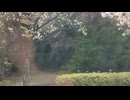 VID_20230329_144535