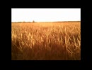 Pieni 8 x Lofi-6