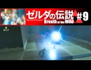 【ゆっくり実況】マスターモードで遊ぶブレワイ#9