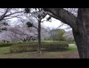 VID_20230324_133144