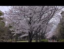 VID_20230324_133520