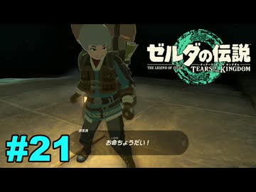 【ゆっくり実況】ティアキンぜんぶやる #21