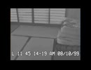 CCTV footage captures the moment that Hakushin-Karatebu members disappear
