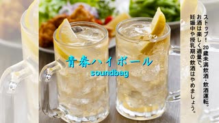 青春ハイボール (feat. 双葉湊音) (short ver.) / soundbag