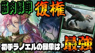 【MTGアリーナ】緑単は筋肉がすべて！！パワーで殴り勝つが最強という理論が帰ってきた！「緑単ストンピィ」｜スタンダード【ファウンデーションズ】BO1