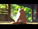 Lo-Fi BGM｜Lost in life｜人生の迷子