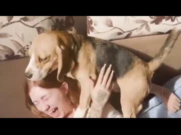 ホモと見る人間のメス相手にギンギンになってしまう犬