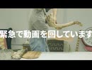 【パントマイムもあるよ！】禁煙したい人向け飯【タイヤご飯の奇想天外お料理】