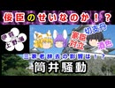 不倫とは絶対無関係だ！！筒井騒動について解説！！【ゆっくり解説】#筒井騒動#筒井定次#ゆっくり解説